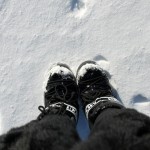 black in the snow